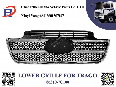 HD260 NEW LOWER GRILLE - 2
